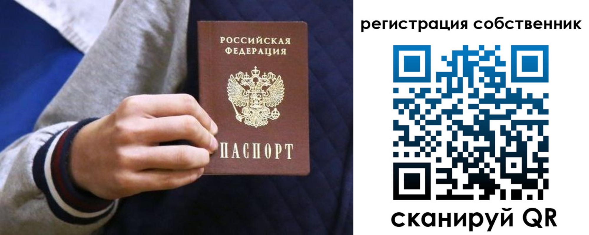 прописка поиск в Родниках